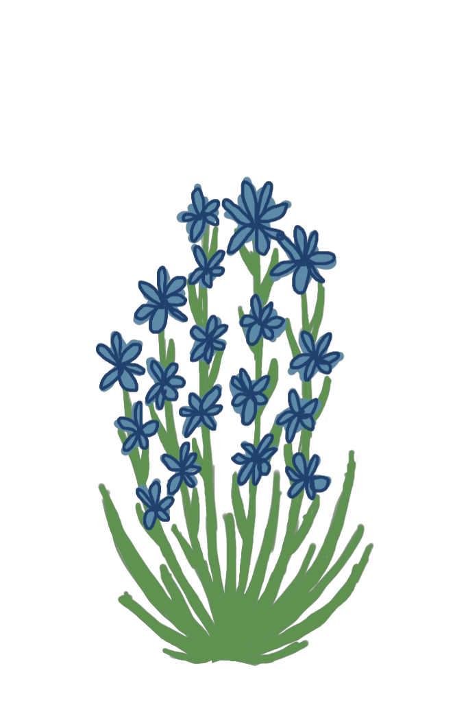 Pflanze Soziales